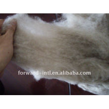 pure 100% mongolia cashmere